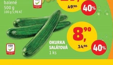 Okurka salátová