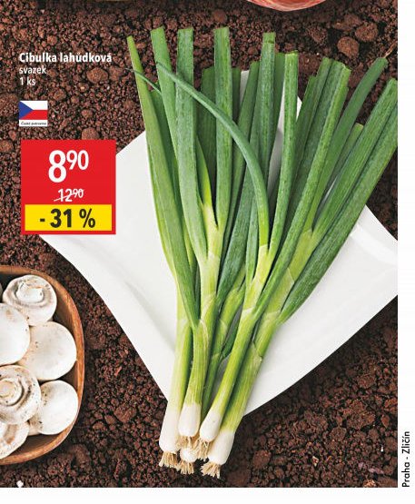 Cibulka lahůdková