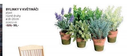 BYLINKY V KVĚTINÁČI - ASKO akcniletaky.com