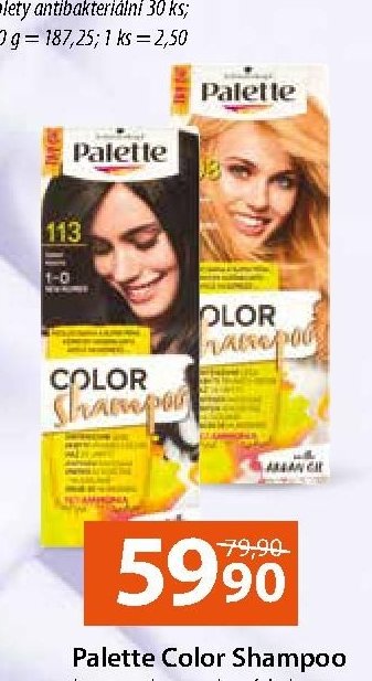 Palette Color Shampoo