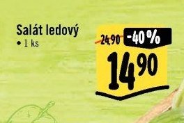 Salát ledový
