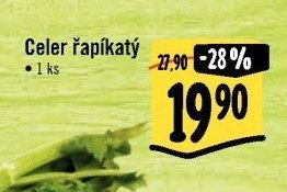 Celer řapíkatý