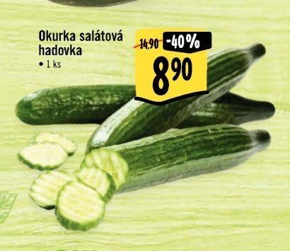 Okurka salátová hadovka