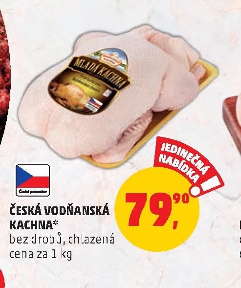 ČESKÁ VODŇANSKÁ KACHNA