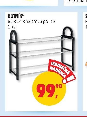BOTNÍK