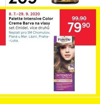 Palette Intensive Color Creme Barva na vlasy