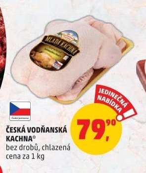 ČESKÁ VODŇANSKÁ KACHNA