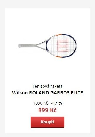 Wilson ROLAND GARROS ELITE