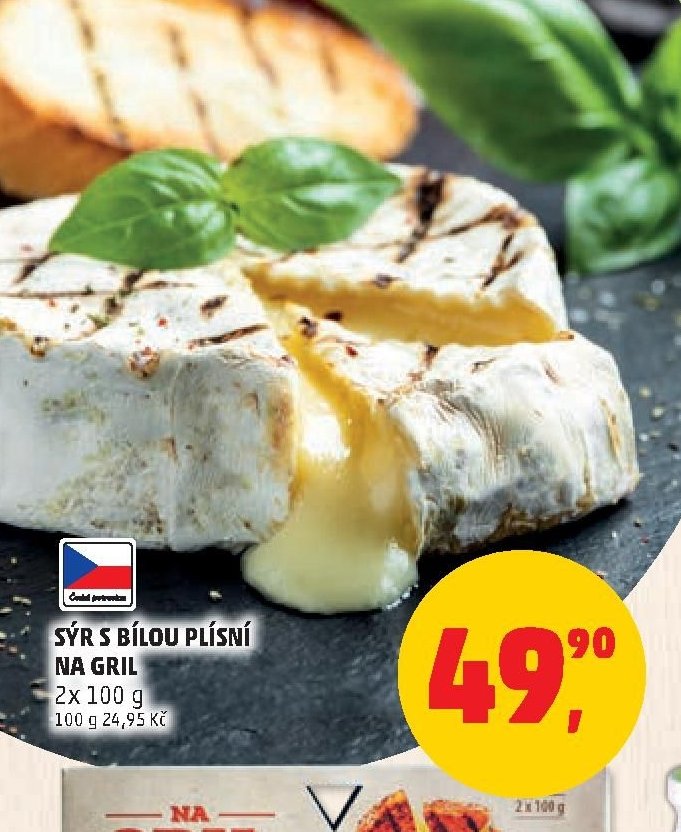 Sýr s bílou plísní na gril