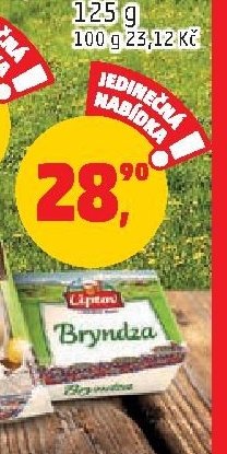 SÝR BRYNDZA LIPTOV