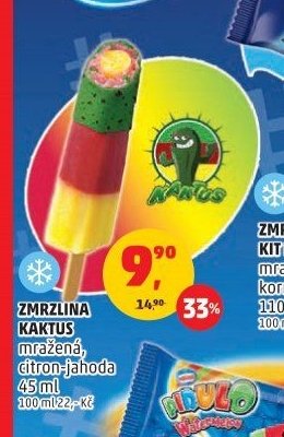 ZMRZLINA KAKTUS