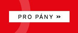 PRO PÁNY