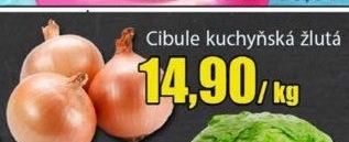 Cibule kuchyňská žlutá
