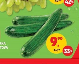 Okurka salátová 1 ks