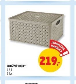 Úložný box 13 l
