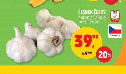 ČESNEK ČESKÝ