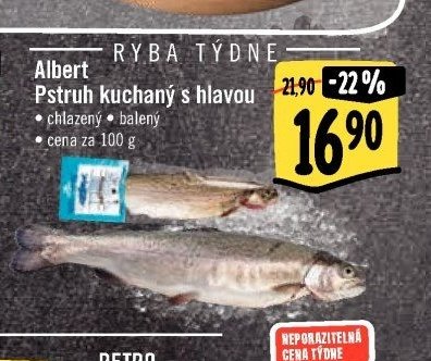 Albert Pstruh kuchaný s hlavou