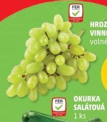 HROZNY RÉVY VINNÉ BÍLÉ