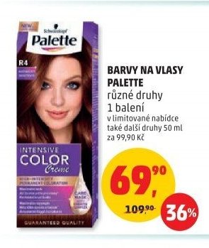 Barva na vlasy Palette