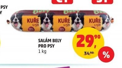 SALÁM BELY PRO PSY