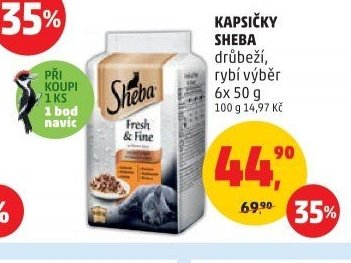 KAPSIČKY SHEBA