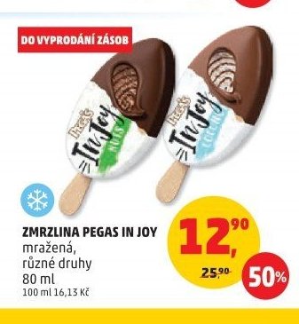 ZMRZLINA PEGAS IN JOY