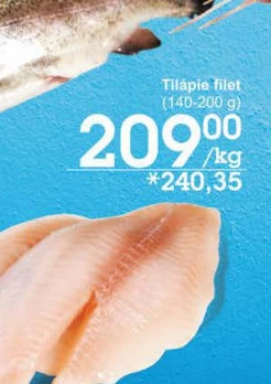Tilápie filety
