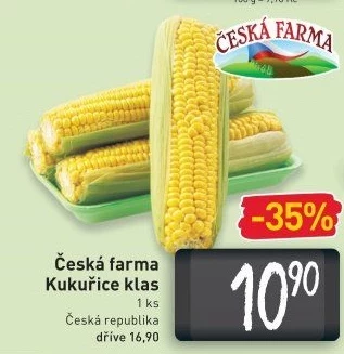 Kukuřice klas Česká farma