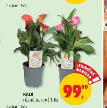 Kala různé barvy