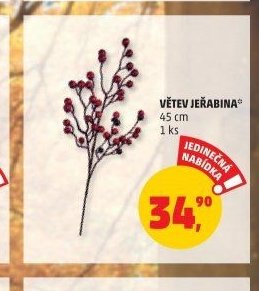 Větev jeřabina