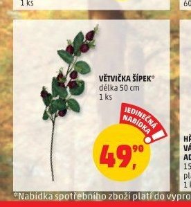 Větvička šípek