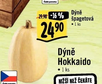 Dýně špagetová