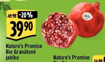 Granátové jablko bio Nature'