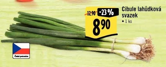 Jarní cibule svazek