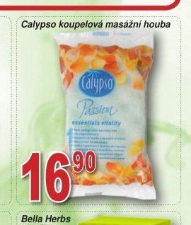 Calypso koupelová masážní houba