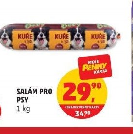 SALÁM PRO PSY