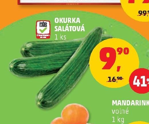 OKURKA SALÁTOVÁ