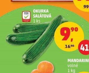 Okurka salátová 1ks