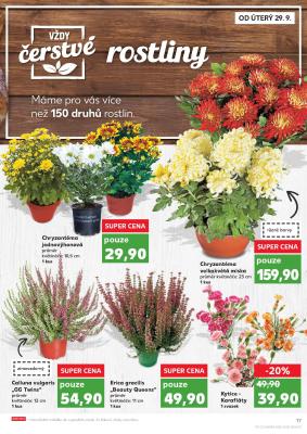 akční leták Kaufland 29.9.2020-6.10.2020