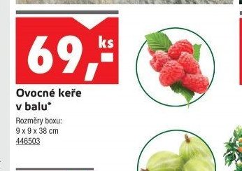 Ovocné keře v balu - UNI HOBBY akcniletaky.com