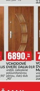 Vchodové dveře Dalia 01R - bauMax akcniletaky.com