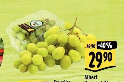 Albert Hrozny bílé bezsemenné