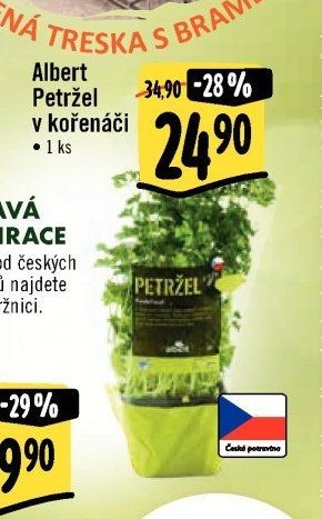 Albert Petržel v kořenáči