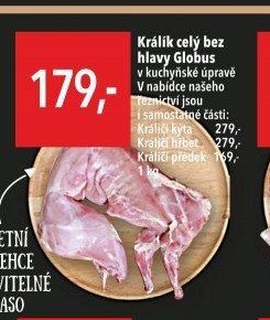 Králík celý bez hlavy Globus