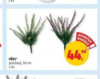 Vřes