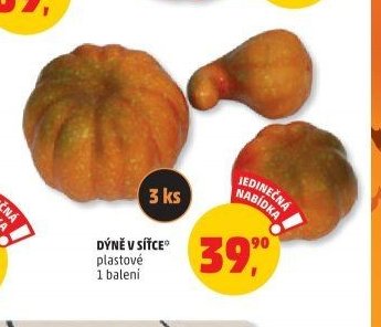 DÝNĚ V SÍŤCE