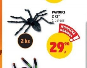 Pavouci 2 ks