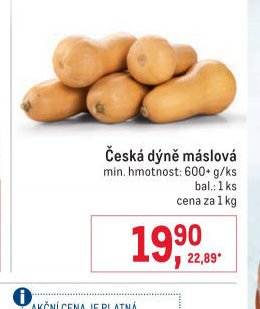 Česká dýně máslová