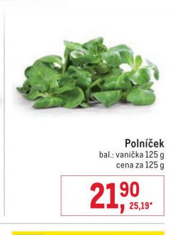 Polníček