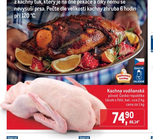 Kachna vodňanská
